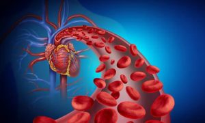 گلبول-های-قرمز-باعث-ایجاد-محافظت-در-برابر-آسیب-قلبی-می-شوند-۷۸۰×۴۷۰