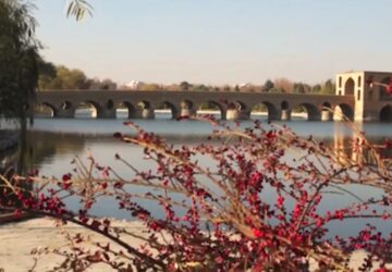 ۱۹۴۳۶۹۳۳_۲۹۵