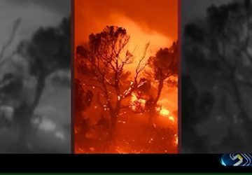 ۲۰۲۵۲۱۹۳_۴۴۲