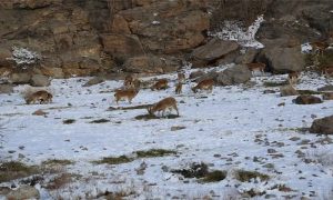 ۲۰۲۷۲۶۹۸_۵۲۷