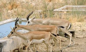 ۲۰۲۹۴۸۳۰_۶۴۴