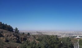 ۲۰۳۳۵۳۹۱_۶۲۶