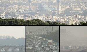 ۲۰۳۵۵۸۰۳_۸۲۹