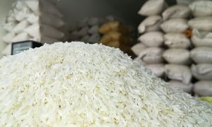 ۱۶۹۱۸۸۸۲_۵۸۴