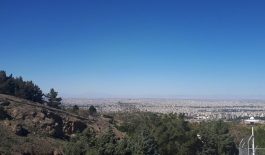 ۲۰۴۰۲۱۹۰_۴۵۵