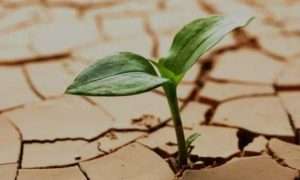 ۱۷۰۲۵۵۳۶۹_۹۴۳۵۱۳