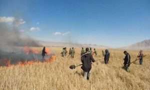 ۵۴۴۷۸۱۶_۷۱۰۷۸۷