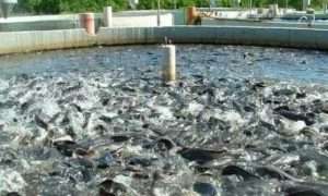 aHR0cDovL2lyaWJuZXdzLmlyLy9maWxlcy9mYS9uZXdzLzE0MDMvOS8xNS8xMTc5NDQ0NF84NTAuanBn_322642