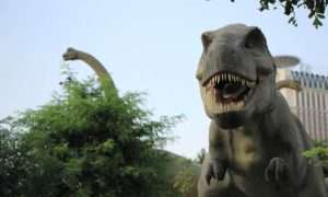 ۱۰۱۱۷۳_۶۳۸_۴۰۸۳۰۵