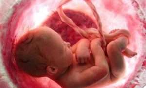 ۱۶۴۶۲۷۱۶۳_۴۰۵۰۵۷