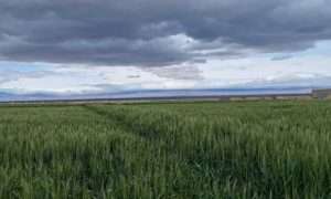 ۲۰۵۹۳۴۵۲_۳۷۶_۹۷۹۶۰۱