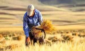 ۲۱۰۳۲۶۲_۱۷۸۹۵۹