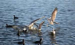 ۲۲۰۰۵۷۰_۸۱۶۳۵۰