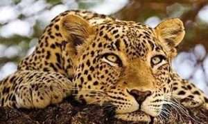 ۵۵۰۶۳۳۸_۳۷۲۹۸۸