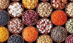 ۵۷۶۹۹۶۸۹_۵۴۴۴۰۹