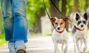 ۶۲۴۲۳۱۱_۱۷۷۵۶۴