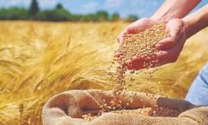 ۶۳۴۷۱۳۳۶_۳۵۱۷۹۰