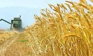 ۷۸۹-۵۷۵x323_304544