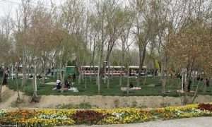 ۱۷۱۹۰۷۱۲۰_۲۲۲۱۸۸