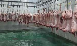 ۱۷۱۹۱۱۱۴۸_۴۷۵۷۶۴