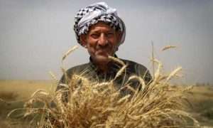 ۱۷۱۹۱۳۹۷۳_۸۷۲۱۸۴