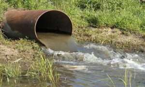 ۲۰۶۳۰۵۷۸_۴۲۹_۴۳۱۵۶۱