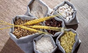 ۶۳۱۸۳۷۲۴_۴۱۶۴۴۷