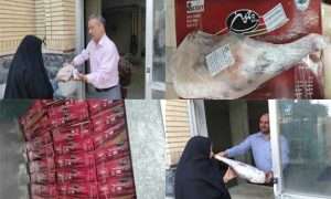 ۹۱۰۳۱۷_۶۰۹_۳۹۳۳۴۲