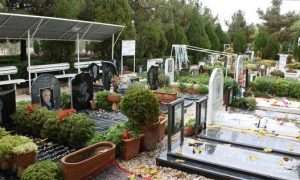 ۱۲۸۰px-Artists_bagh_rezvan_230539