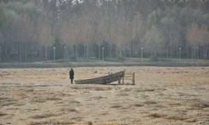 ۱۷۱۶۴۳۲۳۹_۵۸۳۳۳۳