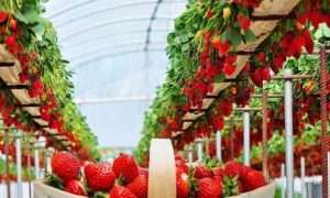 ۲۱۸۱۵۰_۲۱۳۴۹۲