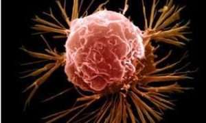 ۲۲۹-۵-th3_364285