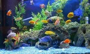 ۲۳۳۱۲۱_۳۸۹۰۴۳