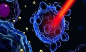 ۴۵۵۸۲۳۸_۴۹۹۹۰۳