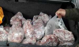 ۴۵۹۶۹۵۴_۷۲۱۱۱۳