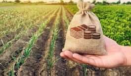 ۵۳۲۱۷۳۱_۵۷۵۶۷۷