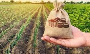 ۵۳۲۱۷۳۱_۵۷۵۶۷۷