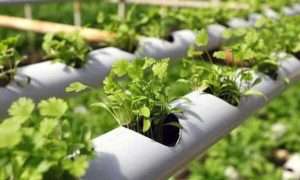 ۵۶۱۴۴۲۲_۵۴۱۳۳۵