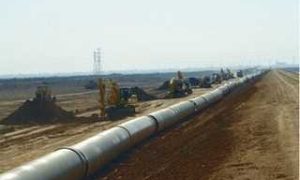 ۶۲۴۰۶_۲۹۴۶۵۵