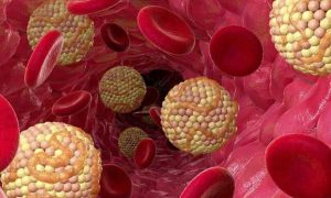 ۶۳۵۲۲۸۲۹_۱۸۵۸۵۳