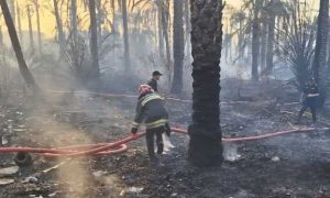 ۱۳۱۱۱۹۶۰_۹۸۲_۸۷۴۵۸۵