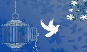 ۱۴۰۴۰۲۱۹۱۵۵۱۱۳۱۷۶۳۲۷۹۹۶۱۴_۷۱۱۲۹۳