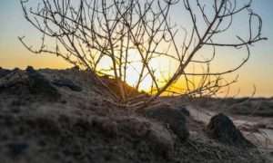 ۱۶۹۱۱۵۲۴۸_۷۱۵۷۵۷