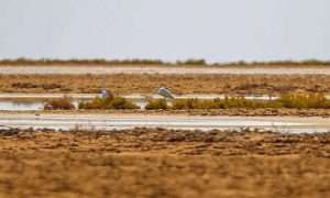 ۴۹۷۴۲۷_۸۸۴_۴۷۹۵۷۵