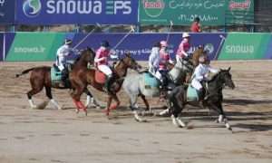 ۱۳۱۶۵۸۳۰_۸۶۶_۸۶۹۸۶۵