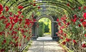 ۱۳۱۸۱۳۲۸_۸۹۸_۷۳۴۹۷۴