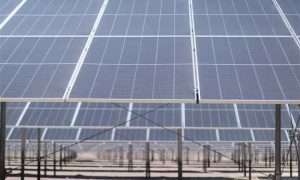 ۱۴۰۴۰۶۲۵۱۰۰۴۱۸۹۲۵۳۴۰۲۷۲۵۴_۲۴۸۷۴۶