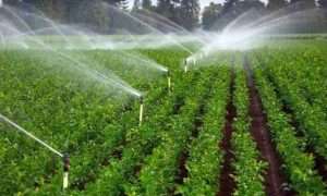 ۲۰۷۴۹۸۸_۸۳۷۹۶۴