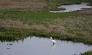 ۲۰۸۷۶۱۳۳_۳۸۵_۶۷۹۰۹۰