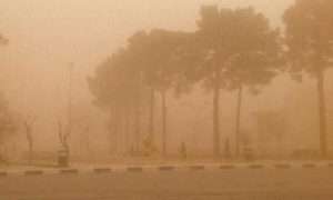 ۵۰۳۰۶۸۹_۲۳۶۴۹۱